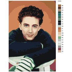 Картина по номерам Z916 "Тимоти Шаламе " 80x120 Brushes Paints