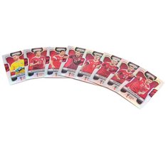 Коллекционный набор Panini Prizm FIFA World Cup Russia 2018 Base Set Silver (8 карточек)