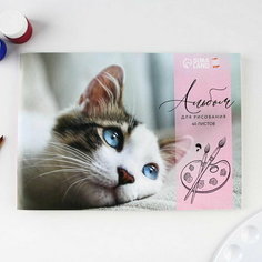 Альбом для рисования на скрепках А4, 40 листов "Котёнок" (обложка 160 г/м2, бумага 100 г/м2). Art Fox