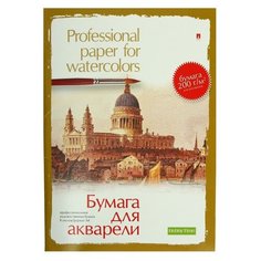 Папка для акварели Альт Professional paper for watercolors 29.7 х 21 см (A4), 200 г/м², 8 л.