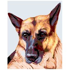Картина по номерам, "Живопись по номерам", 100 x 125, A233, пёс, животное, овчарка, друг, портрет