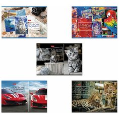 Альбом для рисования А4 48 л, скоба, обложка картон, HATBER, 205х290 мм, Ассорти, 48А4В, 4 шт.