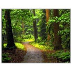 Алмазная мозаика Тропинка к свету 40x50 см. Milato