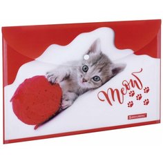 Папка-конверт с кнопкой BRAUBERG "FUNNY CAT", А4, 160 мкм, цветная печать, 228038