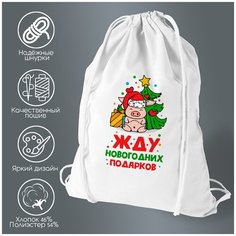 Сумка для обуви CoolPodarok Прикол. Зима. Жду новогодних подарков