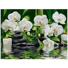 Картина по номерам «Спа-оазис», EX5261 / 30х40 см / ТМ Цветной / Холст на подрамнике / Живопись по номерам