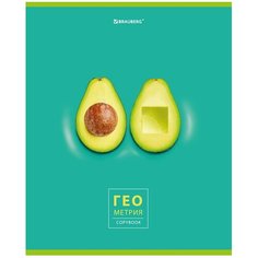 Тетрадь предметная "AVOCADO" 48 л, глянцевый лак, геометрия, клетка, BRAUBERG, 404278