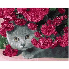 Картина по номерам Пушистый охотник 40х50 см Hobby Home