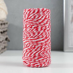 Пряжа 100% целлюлоза "Raffia Color Melange" кручёная, красная 100м +-2м 87 гр Softino