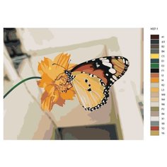 Картина по номерам Н37 "Бабочка", 40х50 см Brushes Paints