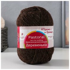 Пряжа "Деревенька" 100% шерсть 170м/100гр (251 коричневый) Троицкая камвольная фабрика