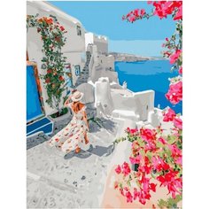 Картина по номерам На встречу к морю 40х50 см Hobby Home