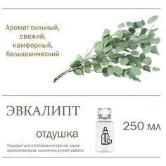 Эвкалипт, отдушка для свечей и мыла (250 мл) Candle M