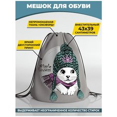 Мешок для сменной обуви Homepick 38х42 см Littleprincess/905/