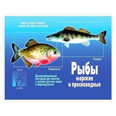 Обучающая игра Весна-Дизайн "Рыбы морские и пресноводные" (Д-283)