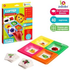 Сортер «Растительный мир» с карточками Домана Iq Zabiaka