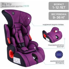 Автокресло детское AMAROBABY Big trip, группа I/II/III, (фиолетовый)