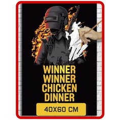 Картина по номерам на холсте игра PUBG 5855 40x60