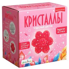 Набор для выращивания кристаллов Цветок красный Бумбарам