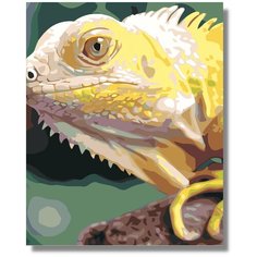 Картина по номерам "Игуана Iguana" холст на подрамнике 40х60