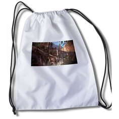 Мешок для cменной обуви Игры Assassins creed истоки - 32801 Brut Boxers
