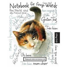 Айрис-Пресс Тетрадь для записи иностранных слов, большая (любопытная кошка)