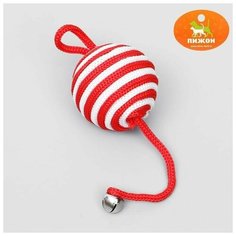 Шар-погремушка с петелькой, 5,5 см, микс цветов Пижон