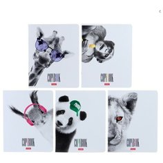 Тетрадь 48 листов, в клетку, "Кто здесь?", обложка мелованный картон, выборочный лак, блок офсет, микс Hatber