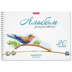 Альбом для рисования А4, 20л на спирали ErichKrause Birds, микроперфорация Нет бренда