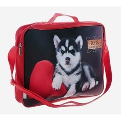 Папка (сумка) на молнии с ремнем, тканевая, школьная с ручками Оникс Малыш хаски А4, 330*235*15 мм.