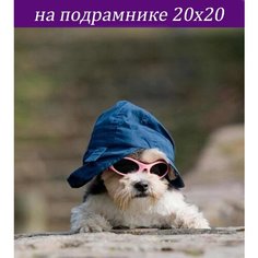 Алмазная мозаика на подрамнике 20х20 частичная выкладка Стиль для Дома