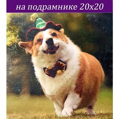 Алмазная мозаика на подрамнике 20х20 частичная выкладка Стиль для Дома