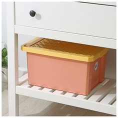 Контейнер для хранения игрушек 17л "Follow me", цвет персиковая карамель Нет бренда