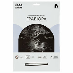 Гравюра с эффектом серебра ТРИ совы "Лодка", А4 - 2 шт.