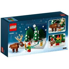 Конструктор LEGO 40484 Перед домом Деда Мороза