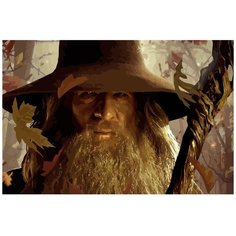 Картина по номерам на холсте властелин колец волшебник - 4 60X40-1