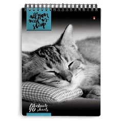 Блокнот 40л, А5 Альт "Кошки", клетка, спираль, картон мелованный (5 видов) (3-40-462), 50шт.