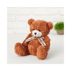 Мягкая игрушка Медведь с бантиком, 22 см 4462349 .
