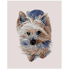 Картина по номерам Пушистая собачка 40х50 см АртТойс