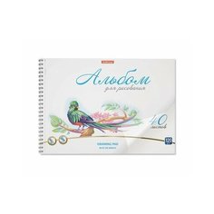 Альбом для рисования с пластиковой обложкой на спирали Birds, А4, 40 листов Erich Krause