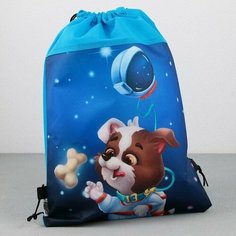 Сумка для обуви «Космический пушистик», нетканное полотно, размер 41х31 см Art Fox