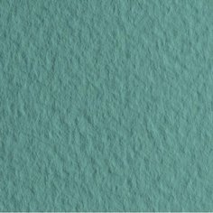 Fabriano Бумага для пастели "Tiziano" 160г/м2 50x65см сальвия, 10л