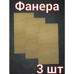 Фанера для рукоделия, детского творчества и выжигания 30х15 см 3 шт. Нет бренда