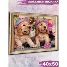 Алмазная мозаика на подрамнике Paintboy