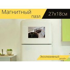 Магнитный пазл "Подоконник, растения, расти" на холодильник 27 x 18 см. Lots Prints