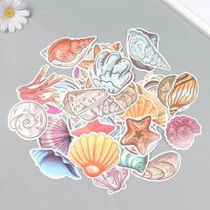 Наклейки для творчества "Ракушки, звёзды и кораллы" набор 50 шт 4х8 см Мастер