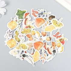 Наклейки для творчества "Осенний букет" набор 46 шт 4,4х4,4х1,1 см Top Market