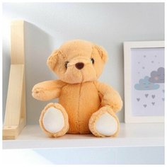 Мягкая игрушка Мишка Тёмка , 12 см Нет бренда