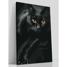 Картина по номерам Черный кот 40х60 см Раскрасим сами