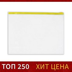 Папка-конверт на ZIP-молнии А4, 120 мкм, Calligrata, прозрачный, микс, 20 штук